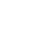 icon of bedbug